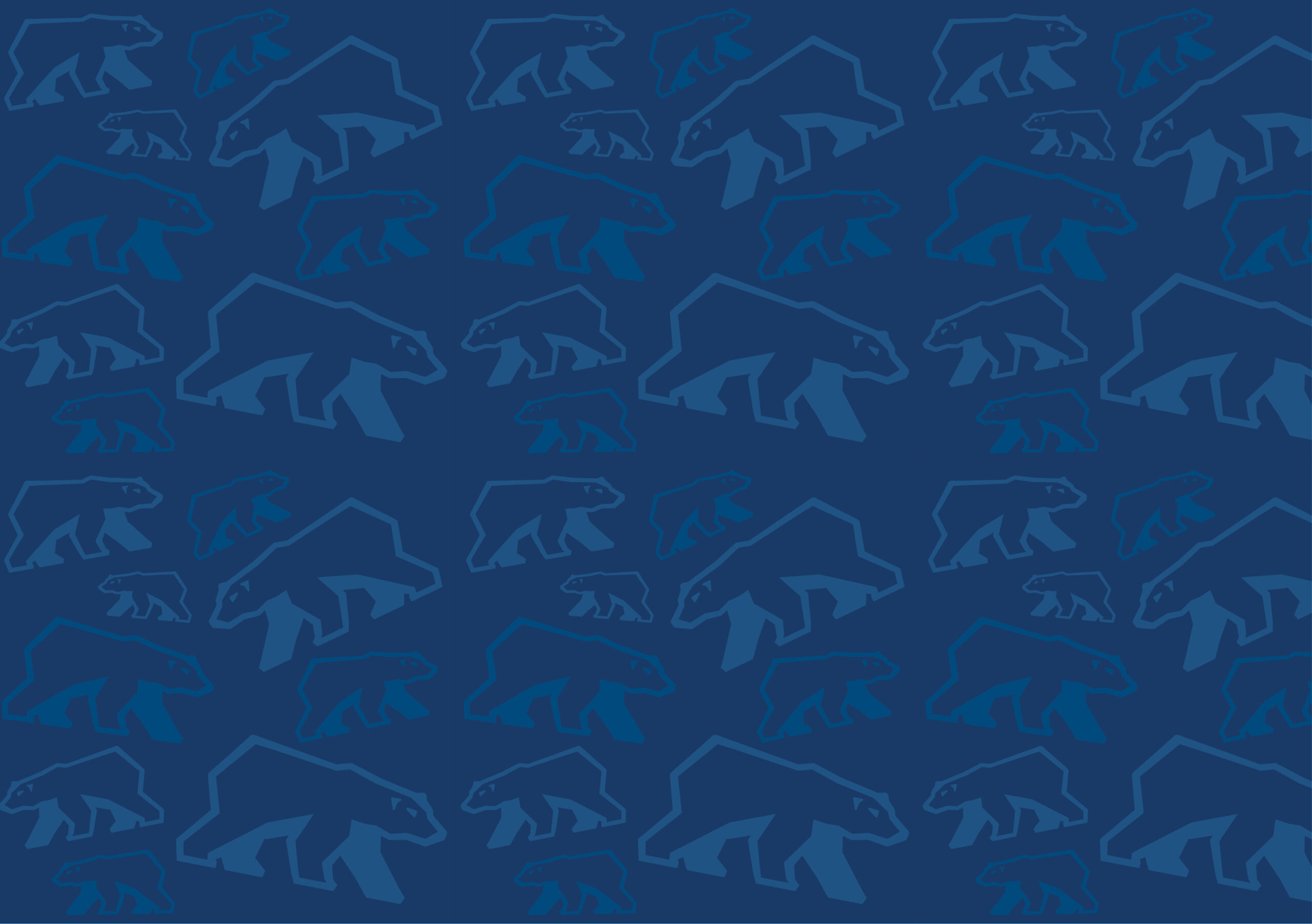 Polar Bear Winter Run Pattern